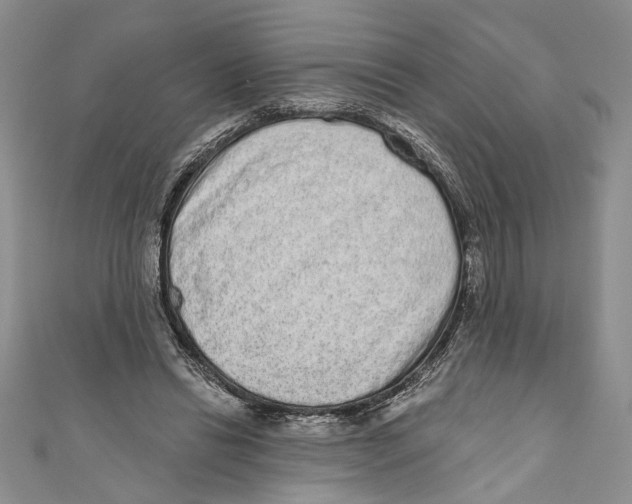 X0000110960446200907171653