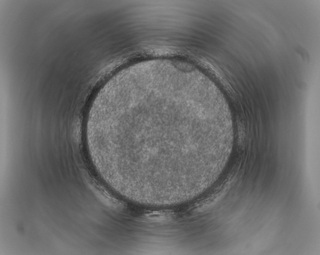 X0000110960447200907171653