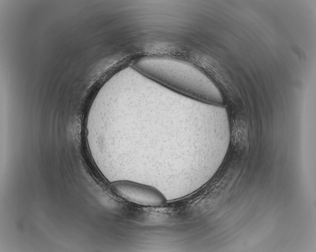 X0000110960448200907171653