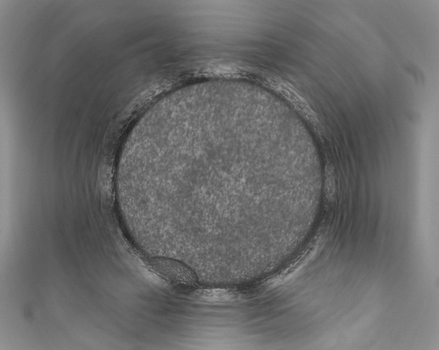 X0000110960449200907171653