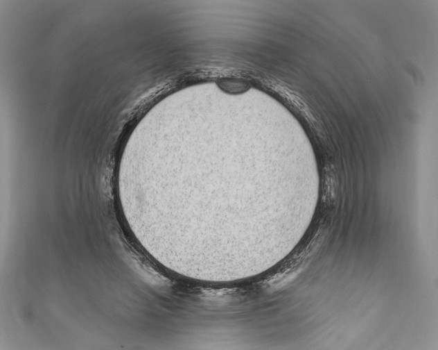 X0000110960450200907171653