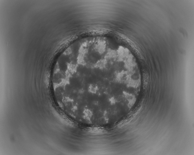 X0000110960451200907171653