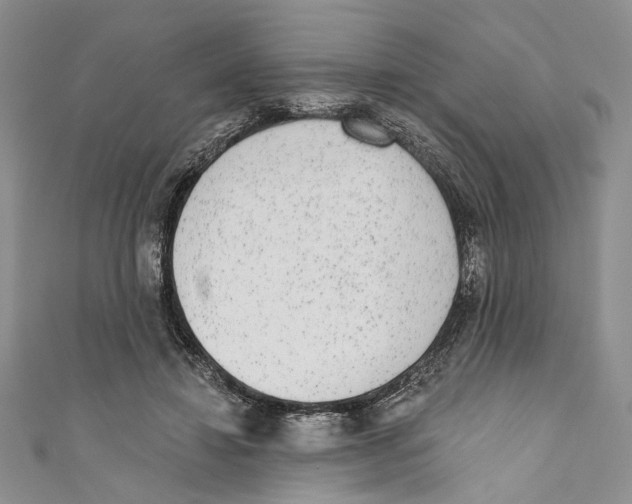 X0000110960452200907171653