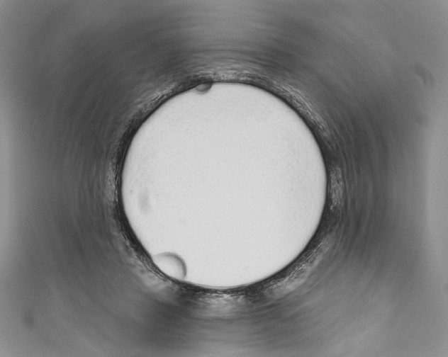 X0000110960453200907171653