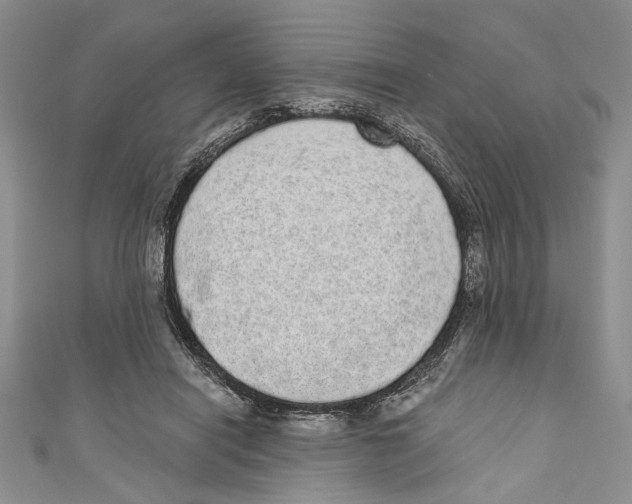X0000110960454200907171653