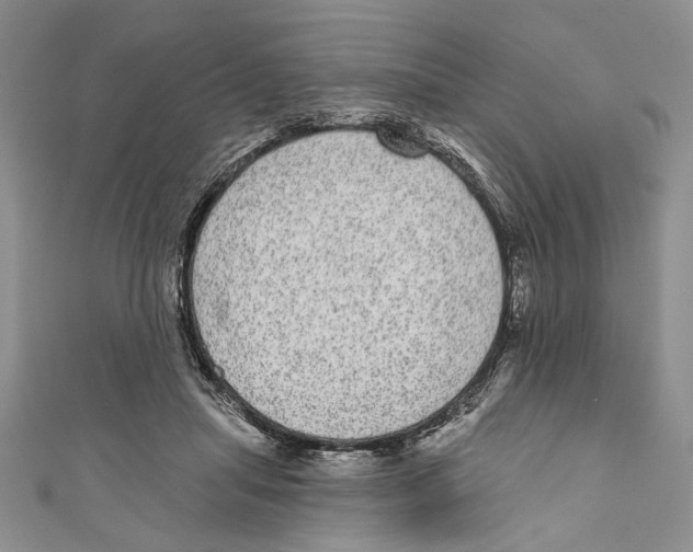 X0000110960455200907171653