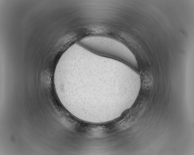 X0000110960456200907171653