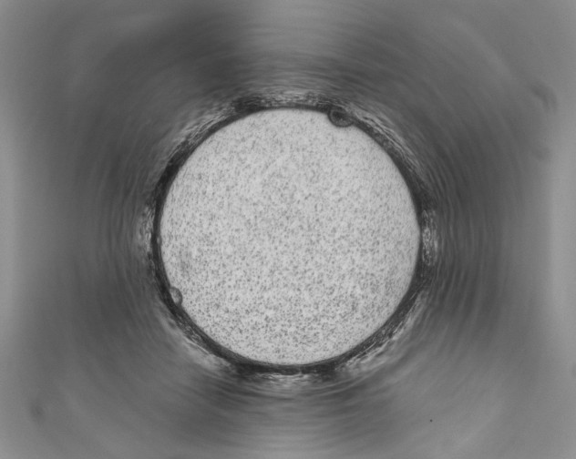 X0000110960458200907171653