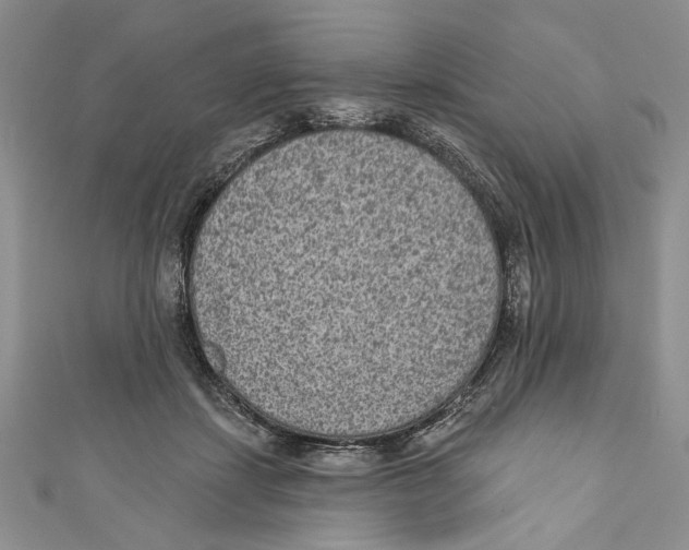 X0000110960459200907171653