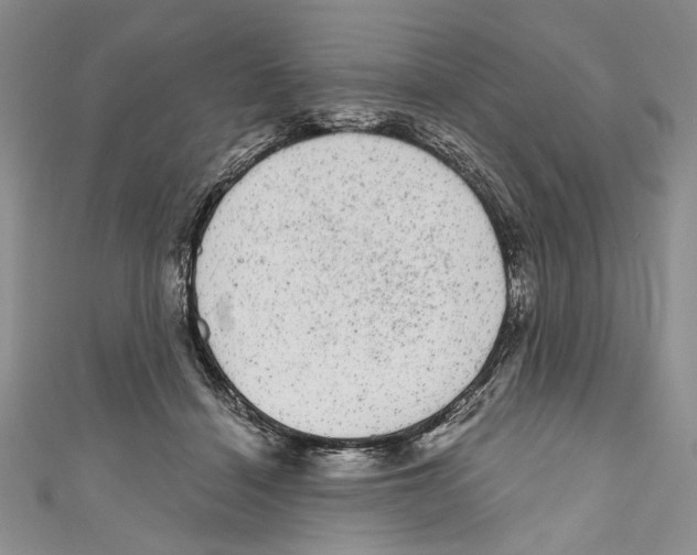 X0000110960460200907171653