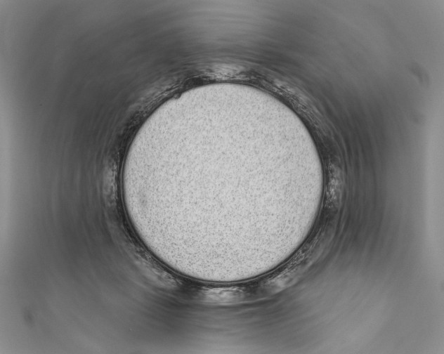 X0000110960461200907171653