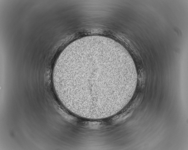 X0000110960462200907171653