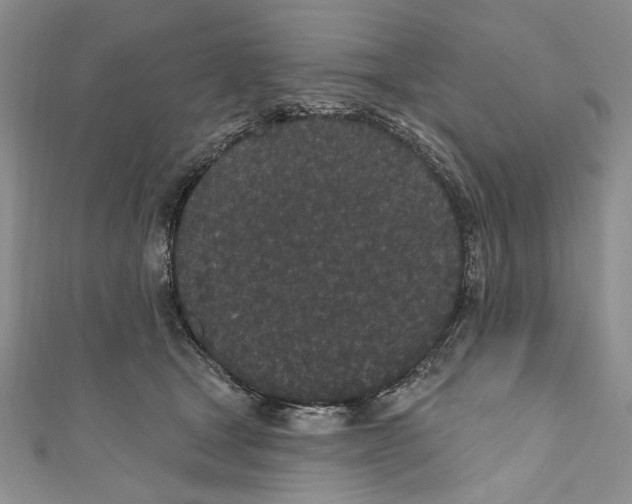 X0000110960465200907171653