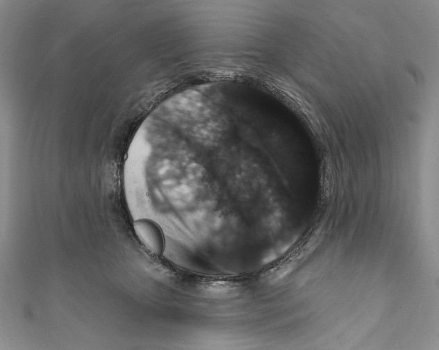 X0000110960467200907171653