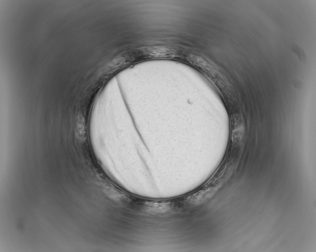 X0000110960469200907171653