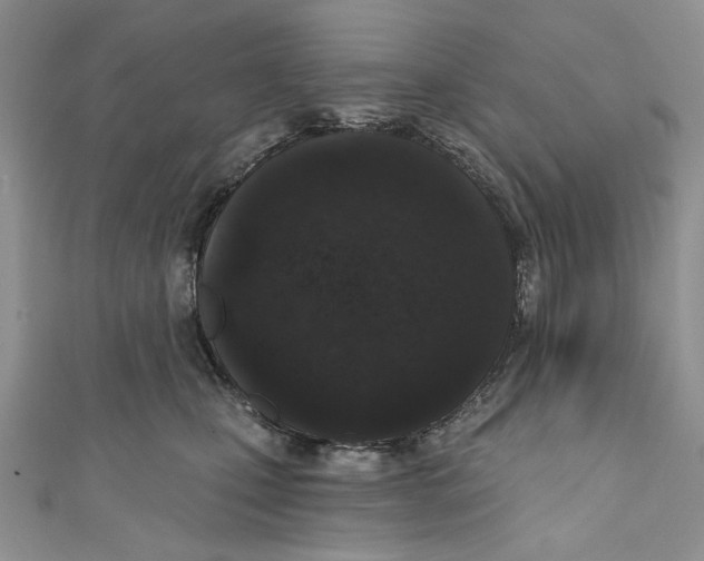 X0000110960471200907171653