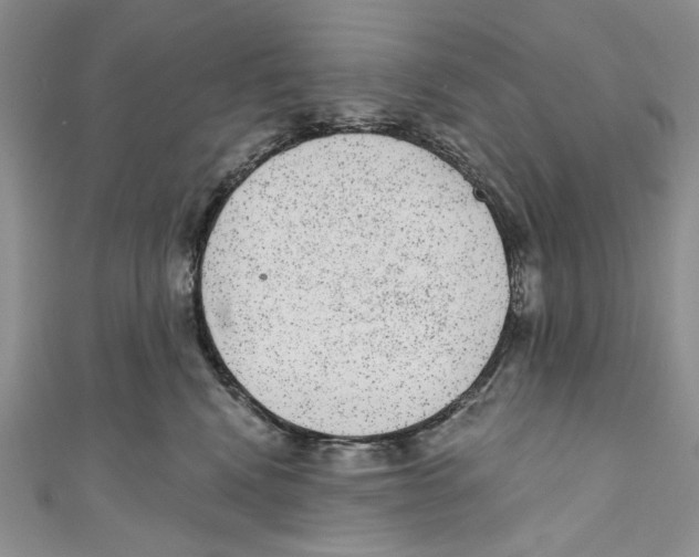 X0000110960472200907171653