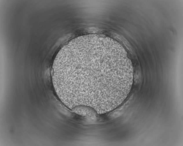 X0000110960473200907171653