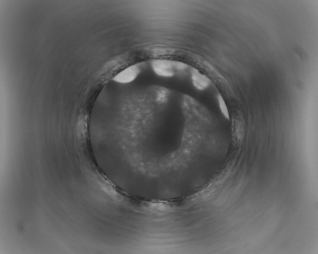 X0000110960475200907171653