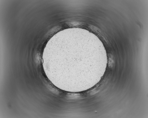 X0000110960476200907171653