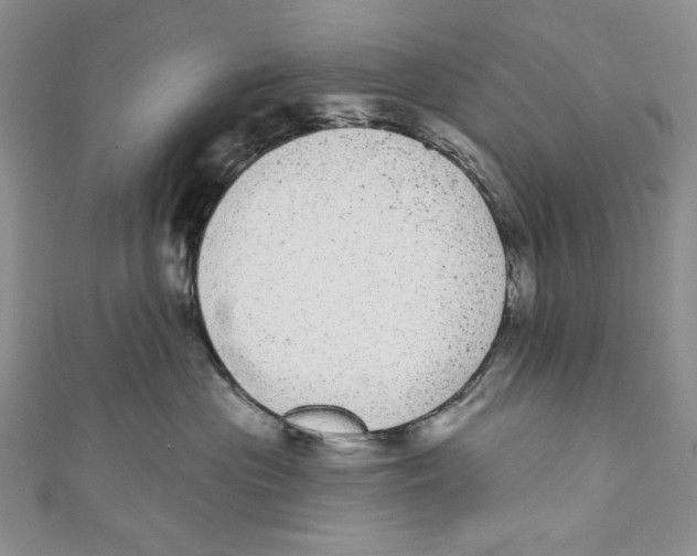 X0000110960477200907171653