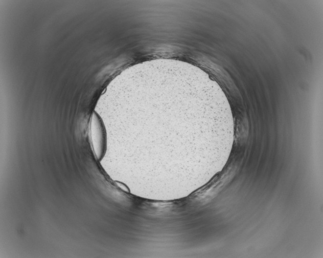 X0000110960478200907171653