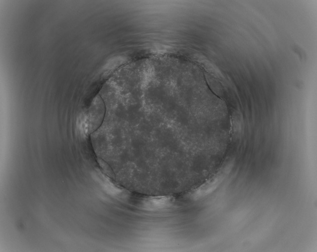 X0000110960479200907171653