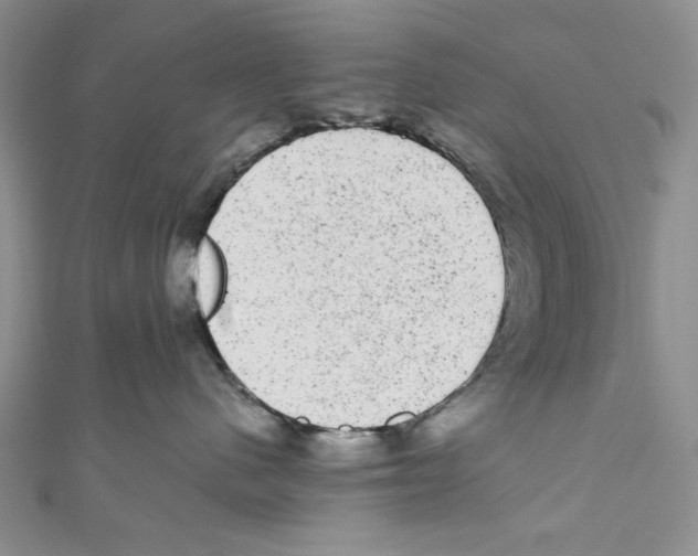 X0000110960480200907171653