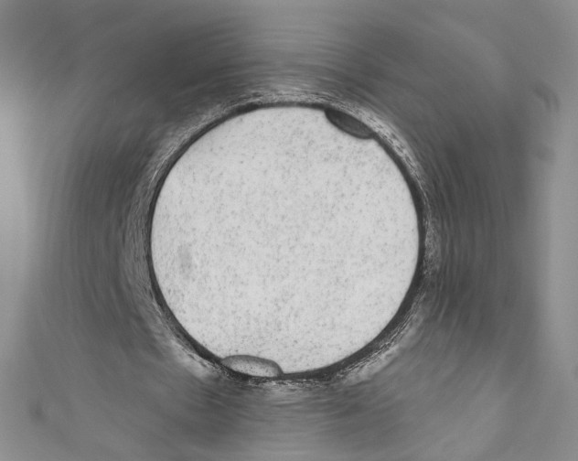 X0000110960481200907171652