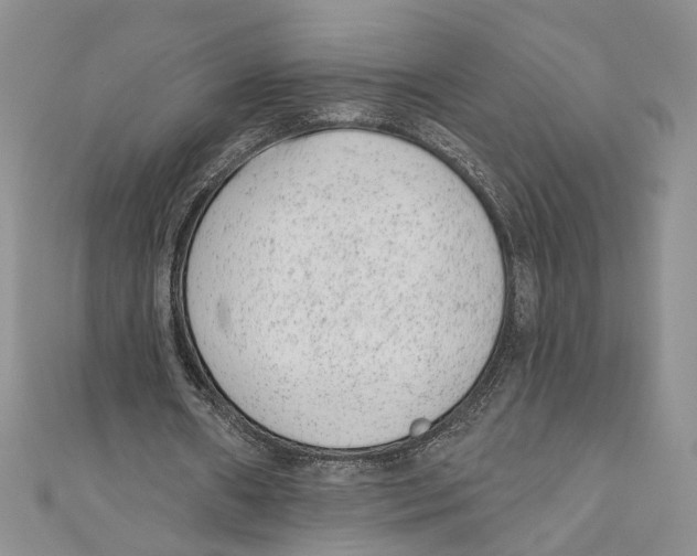 X0000110960482200907171652