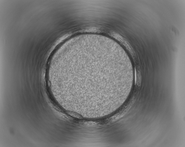 X0000110960483200907171652