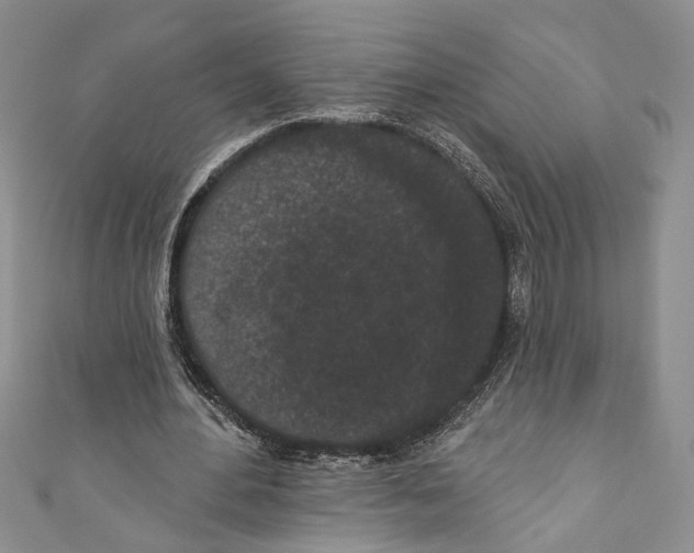 X0000110960484200907171652