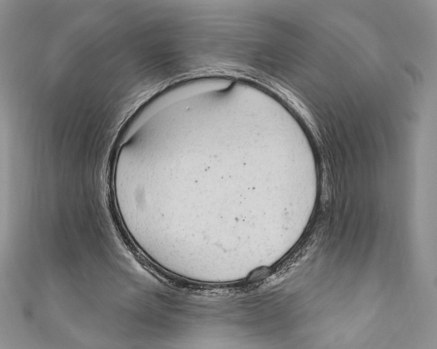 X0000110960485200907171652