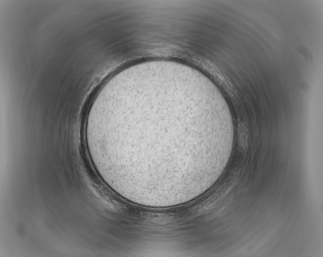 X0000110960486200907171652