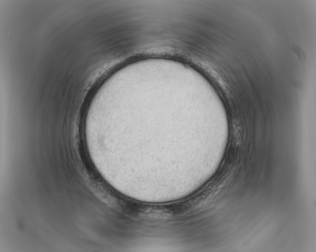X0000110960487200907171652