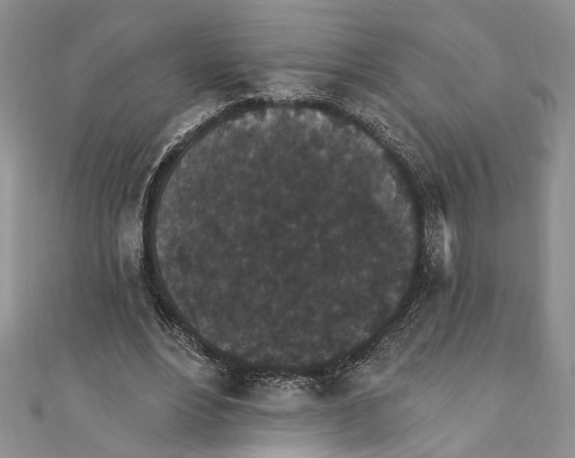 X0000110960488200907171652