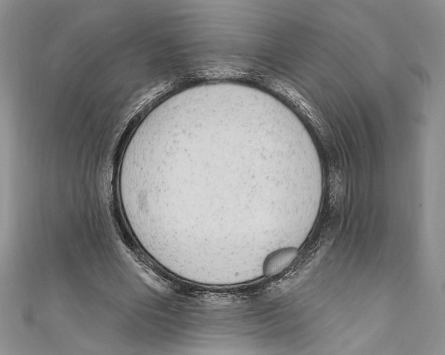 X0000110960490200907171652