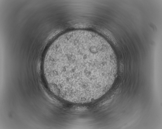 X0000110960491200907171652