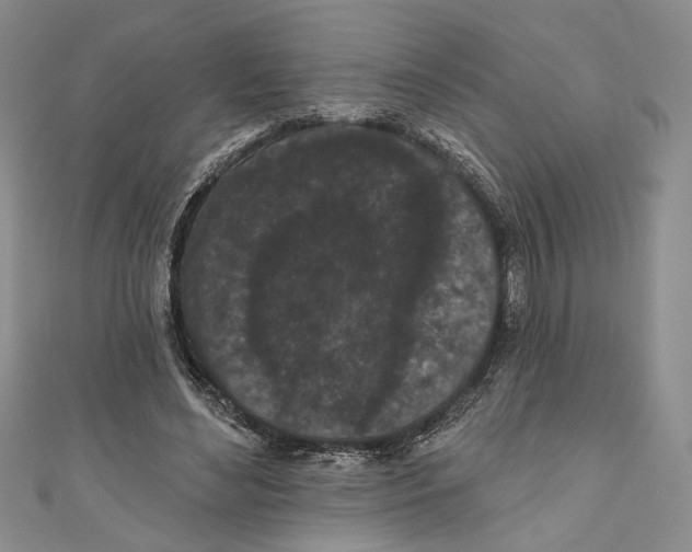 X0000110960492200907171652