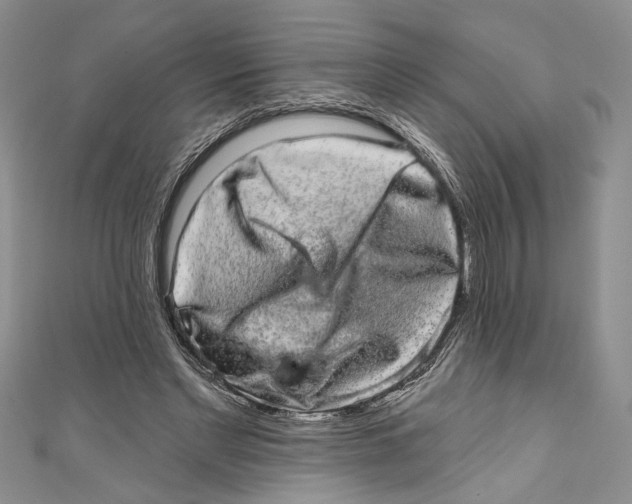 X0000110960493200907171652