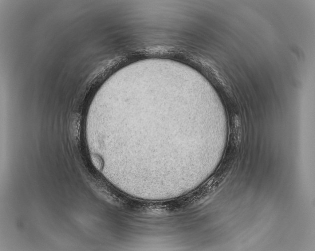 X0000110960495200907171652