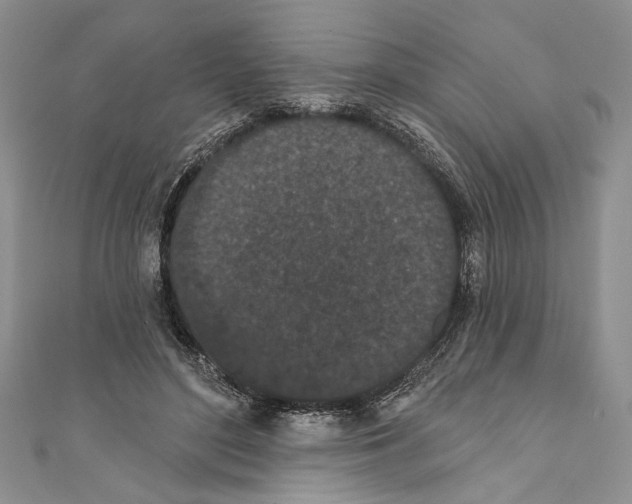 X0000110960500200907171652