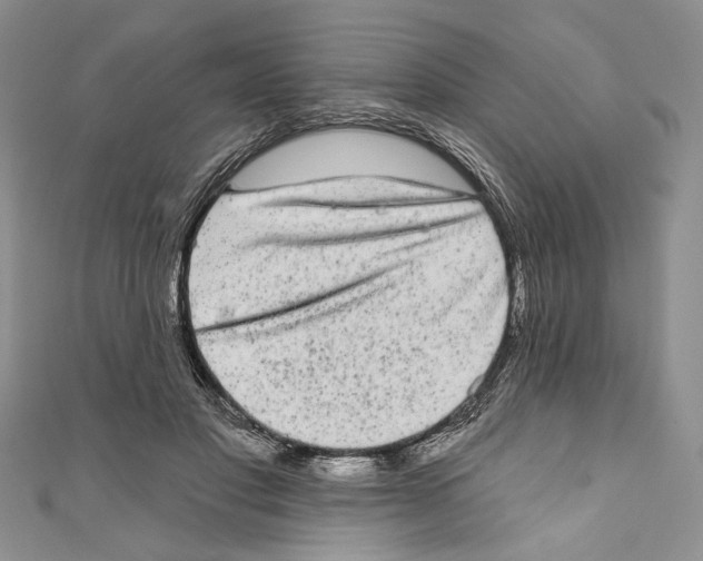 X0000110960501200907171652