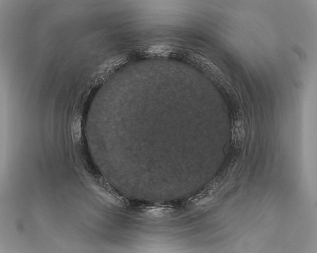X0000110960504200907171652