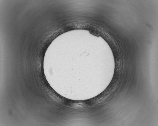X0000110960505200907171652