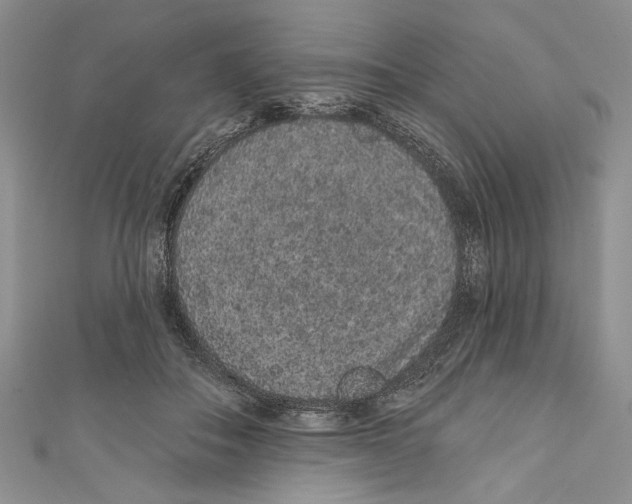 X0000110960506200907171652
