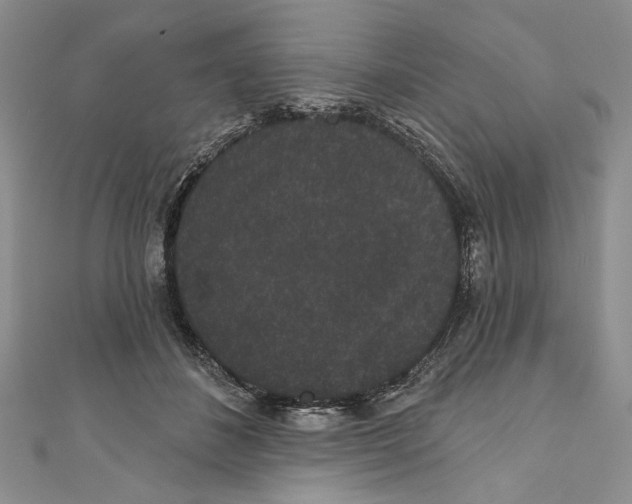 X0000110960508200907171652