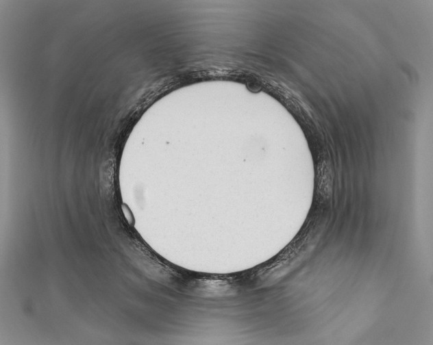 X0000110960509200907171652