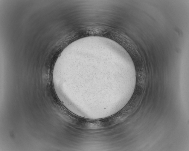 X0000110960510200907171652
