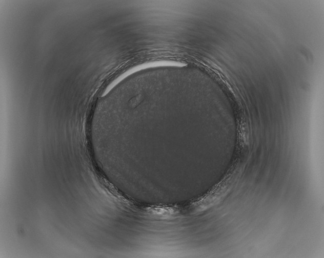X0000110960512200907171652